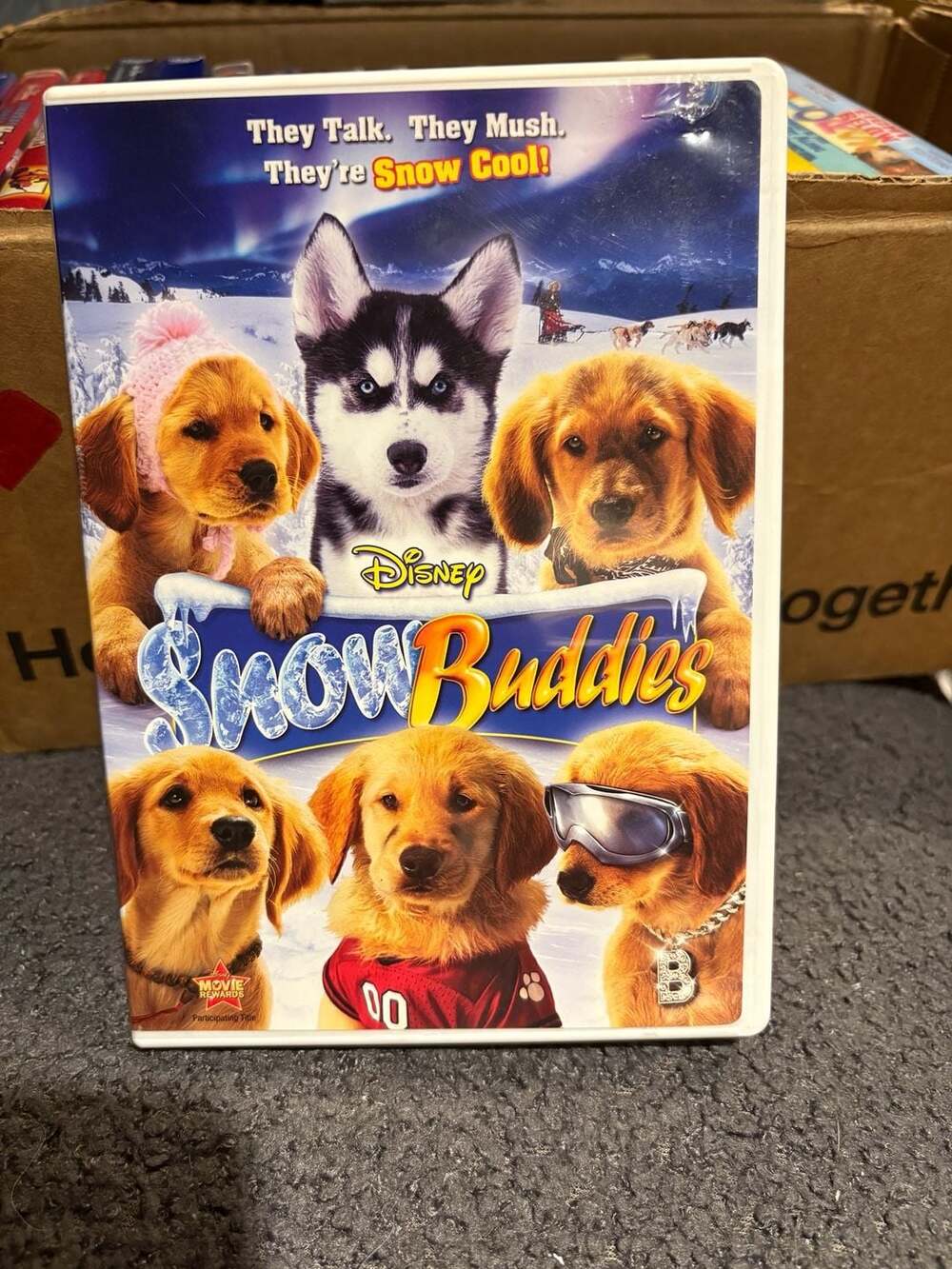 Snow Buddies DVD